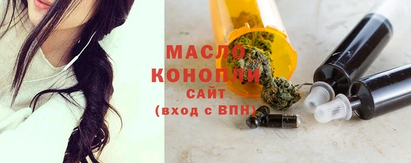 ECSTASY Гусь-Хрустальный