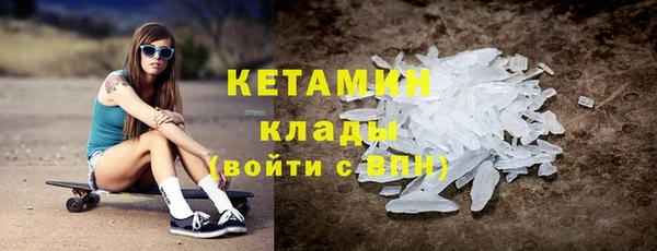 ECSTASY Гусь-Хрустальный
