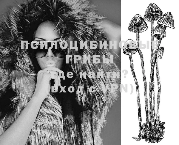 не бодяженный Гусев