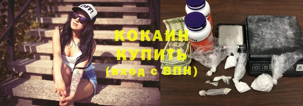 не бодяженный Гусев