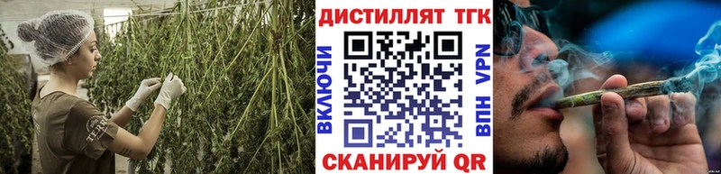 закладка  Гусь-Хрустальный  ТГК вейп с тгк 