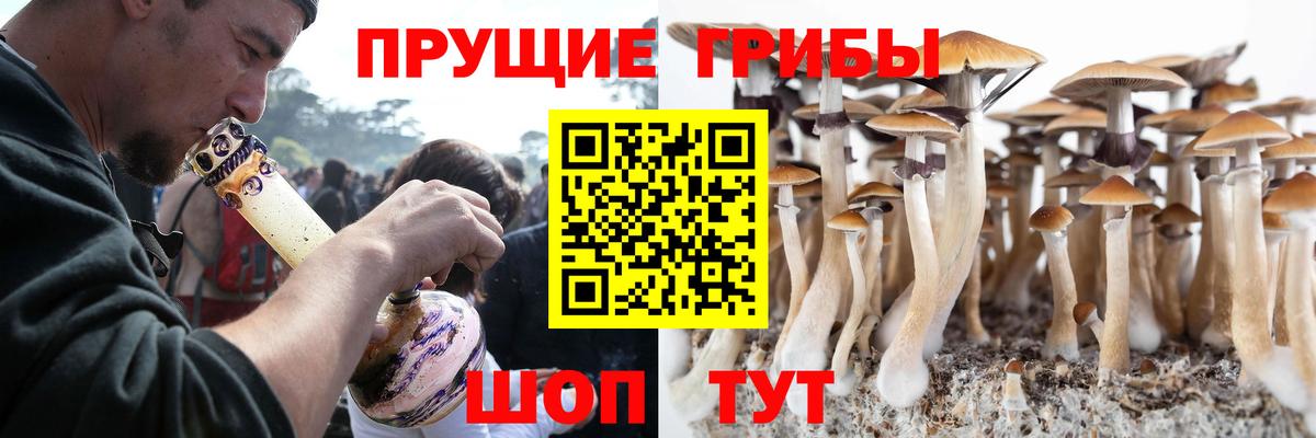 Псилоцибиновые грибы Psilocybe Гусь-Хрустальный